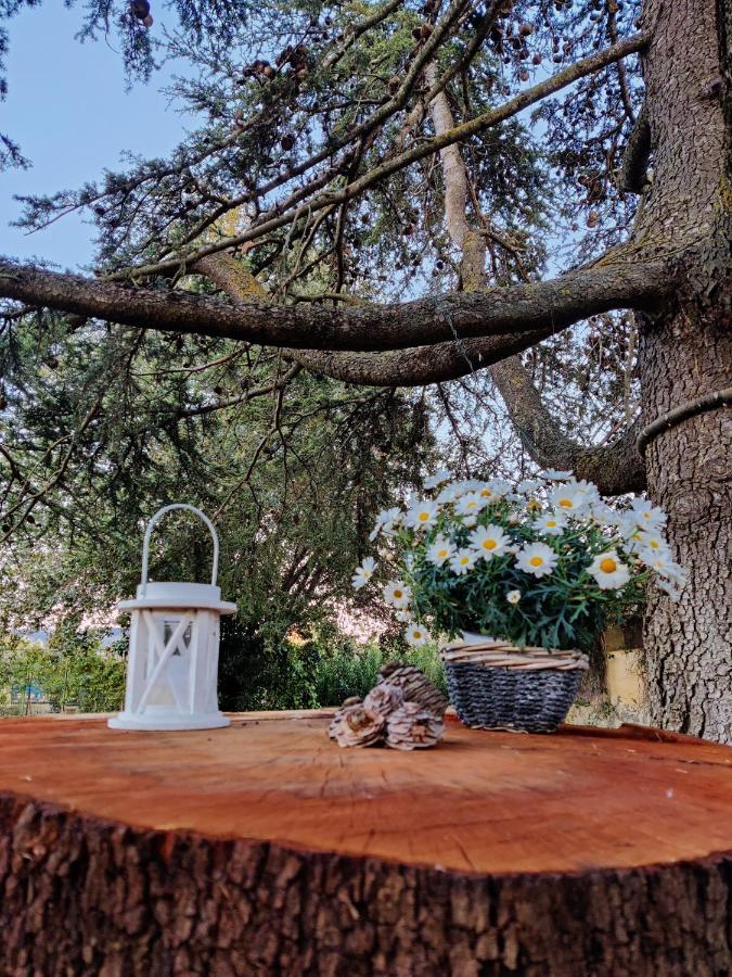 Relais Felciaino B&B Болгери Экстерьер фото